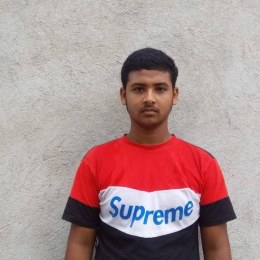 Picture Pervez Hossain