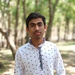 Picture – Mozahidul Islam Mozahid